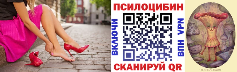 Галлюциногенные грибы мицелий  купить наркотик  Стародуб 