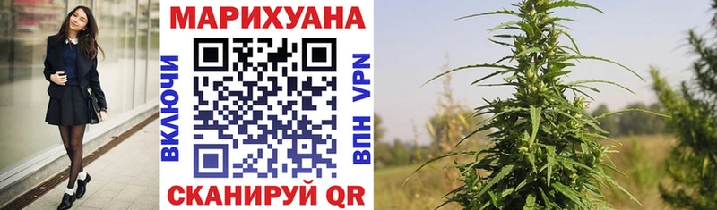 Шишки марихуана семена  Стародуб 